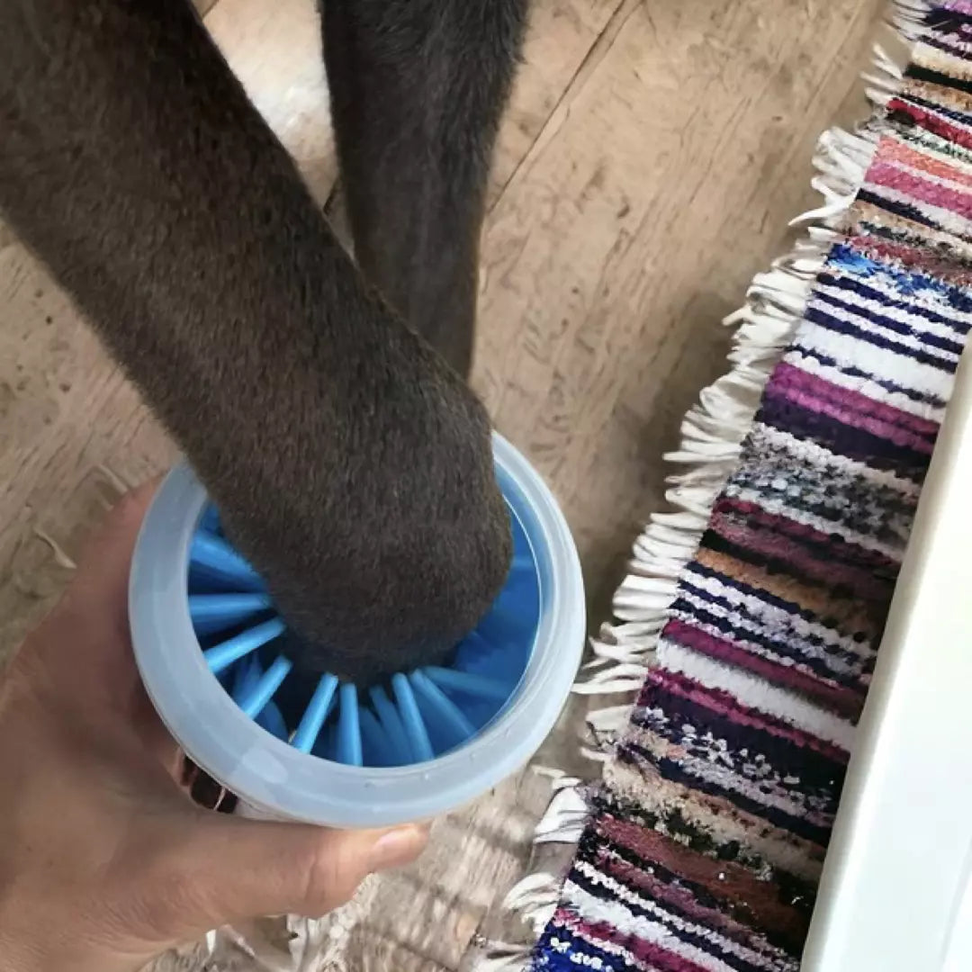 De draagbare poten reiniger in de kleur blauw. Een hond heeft zijn poot in de draagbare poten reiniger.