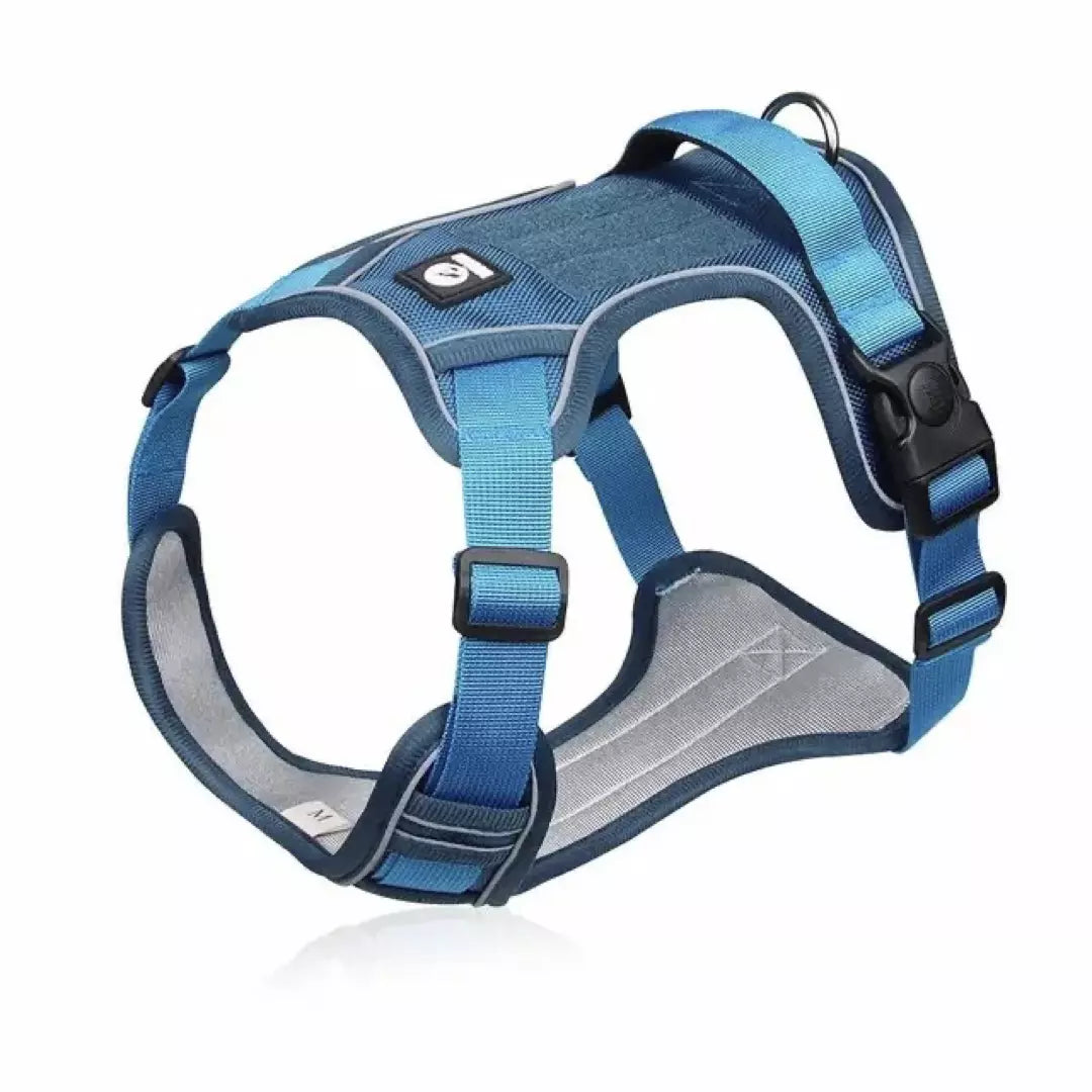 Het reflecterende honden harnas in de kleur blauw.
